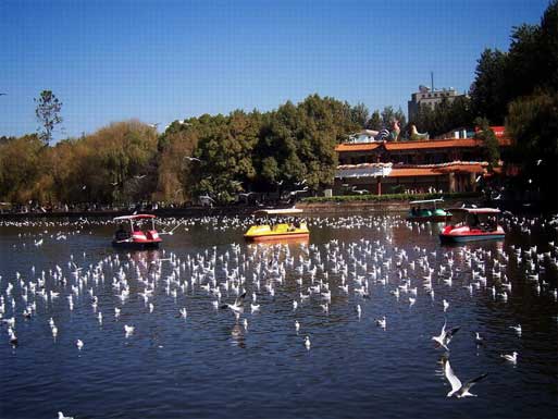 Green Lake Kunming