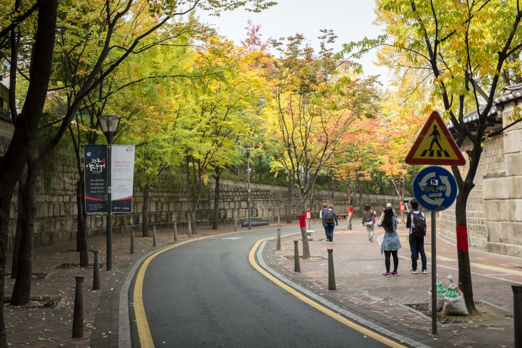 Seoul Fall 2015 (14 of 32)