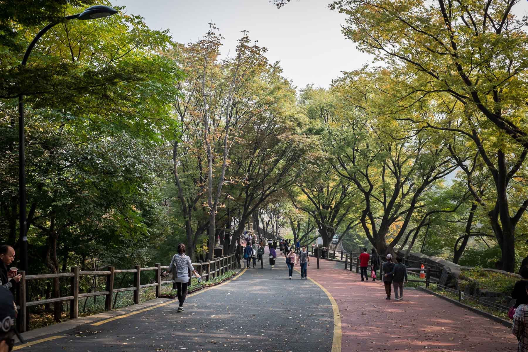 Seoul Fall 2015 (25 of 32)