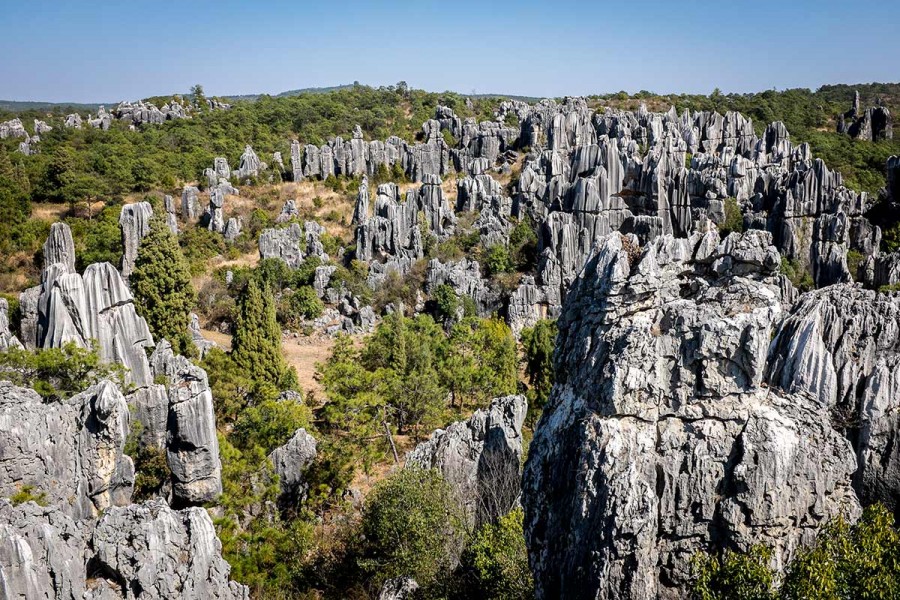 Stone Forest wallpaper